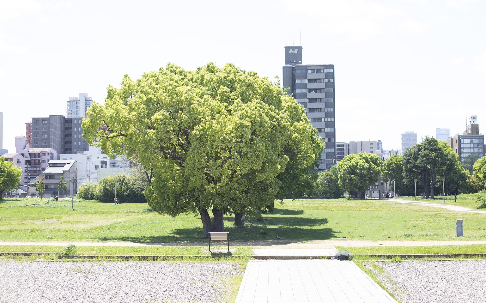 6月のなにサポ事務局の活動日について