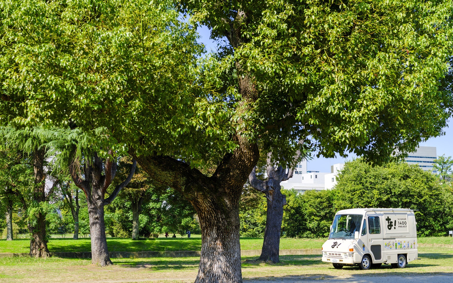 11月のなにサポ事務局の活動日について
